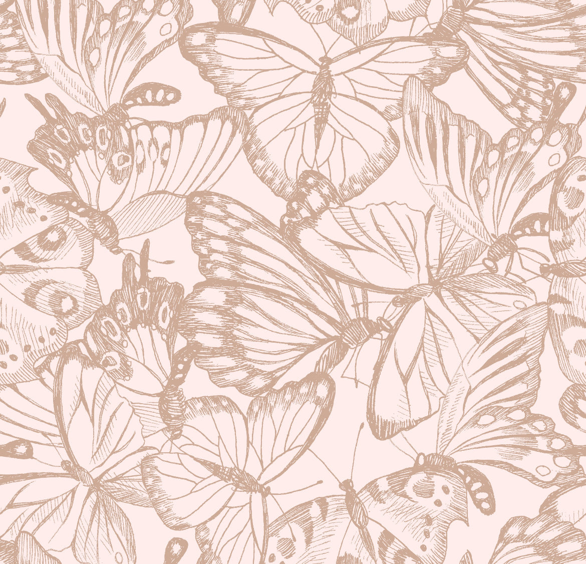 Mariposas detalle rosa