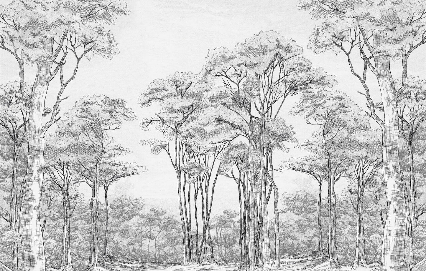 Dibujo bosque negro