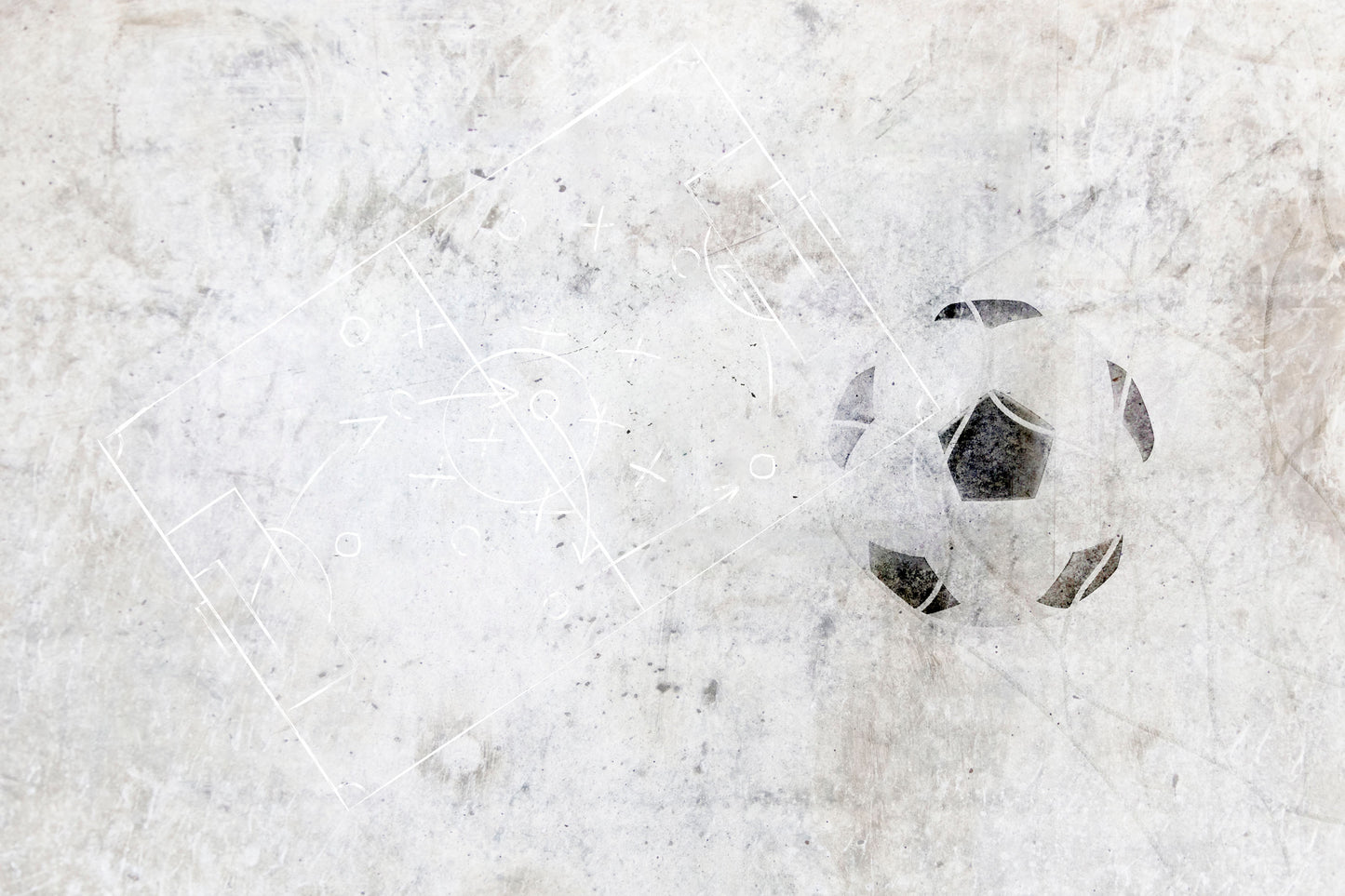 Pelota y cancha