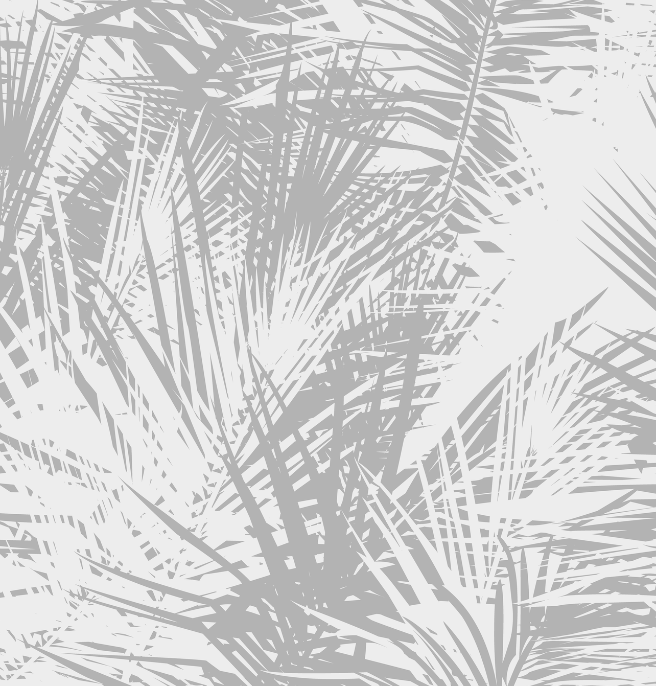 Palma gris y blanco