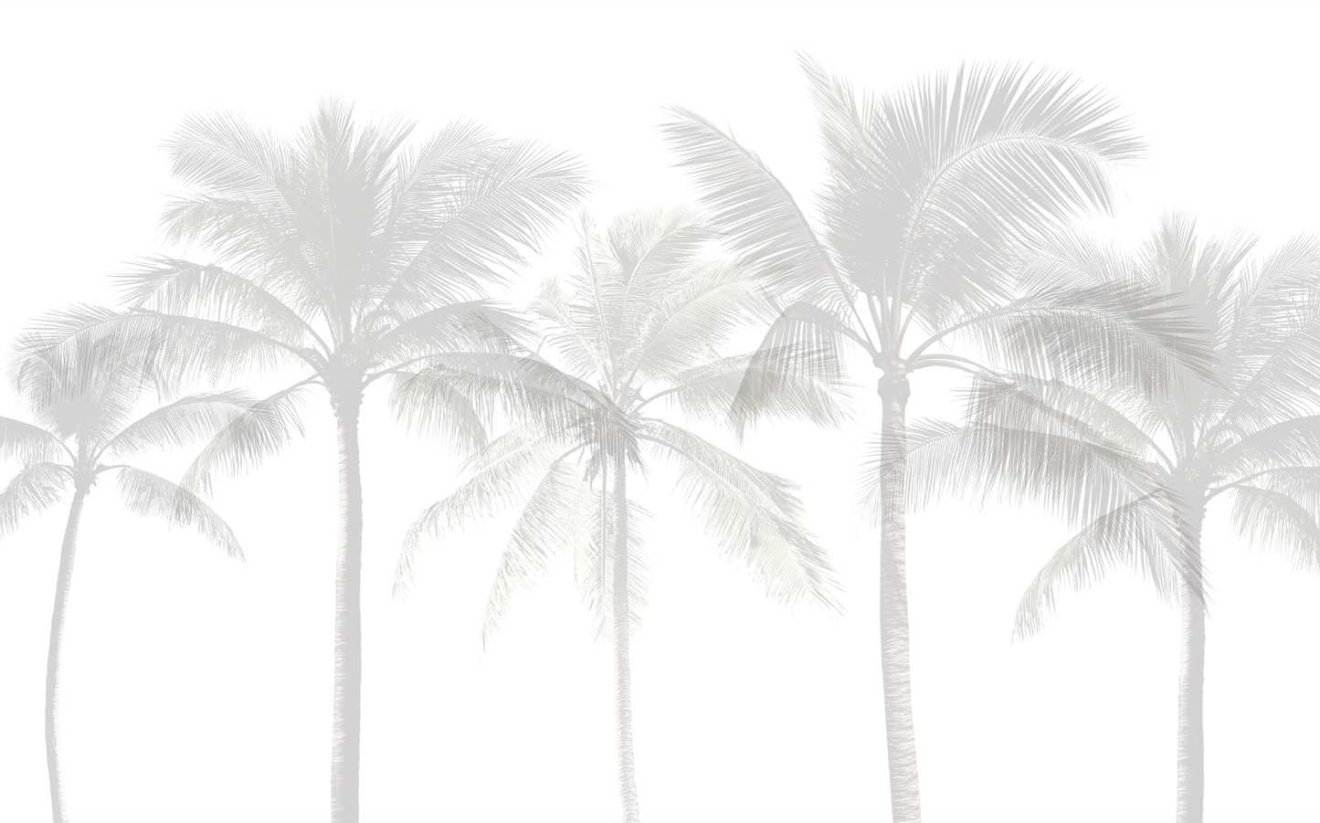Silueta palma claro
