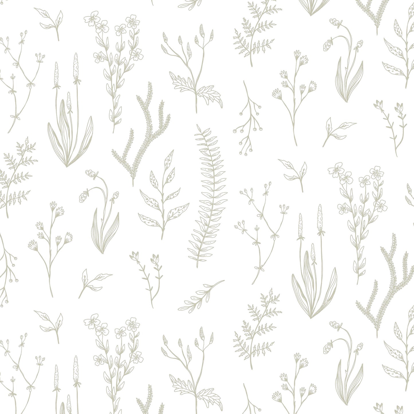 Tipos de flora beige