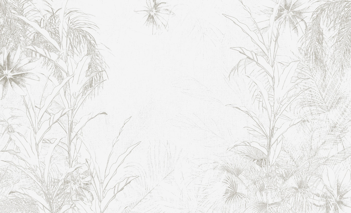 Esqueleto botánico claro