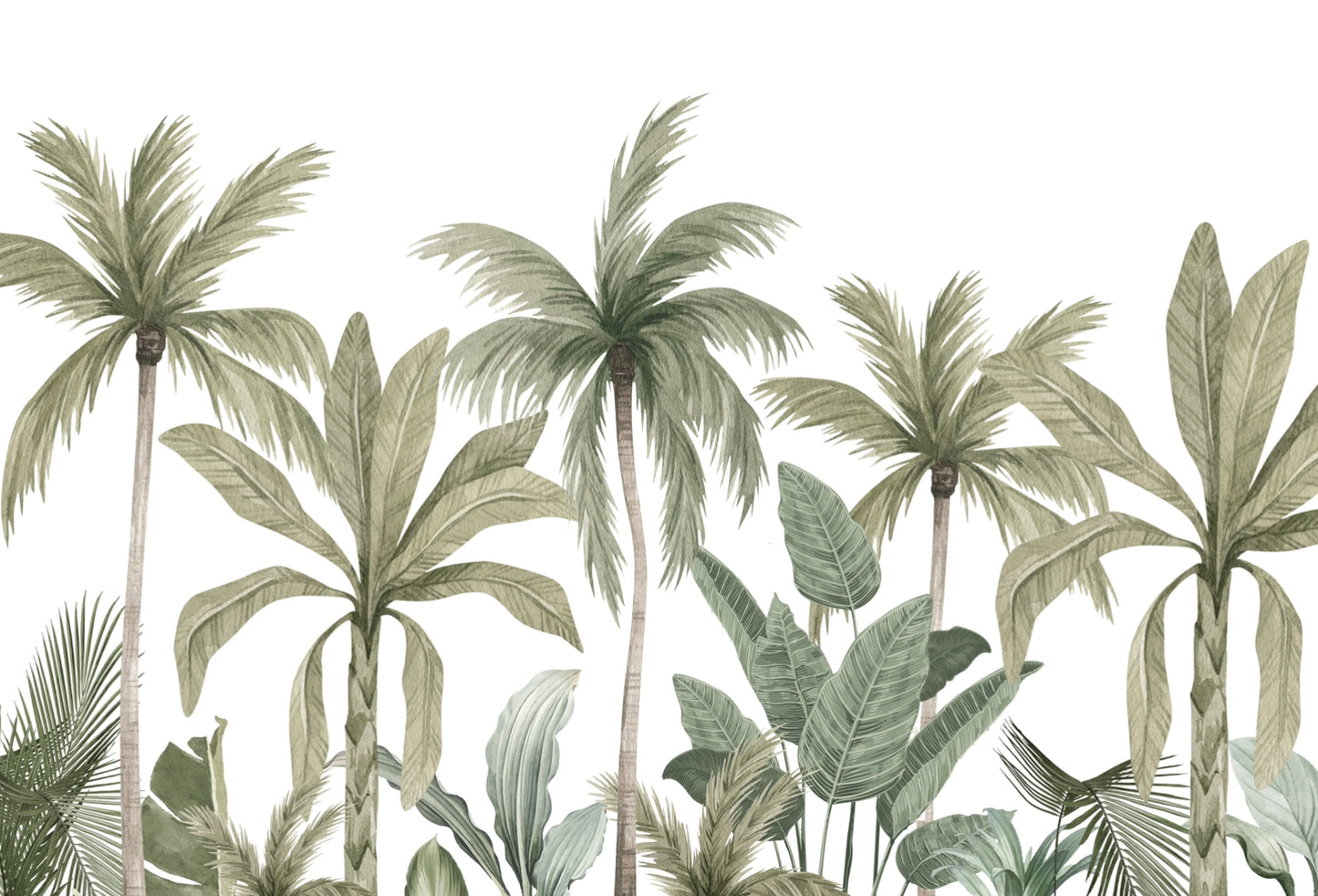 Caribe palmeras