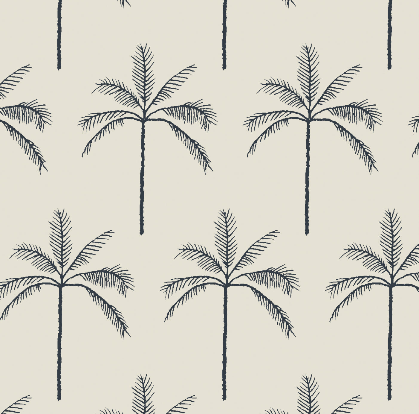 Detalle palmera negra