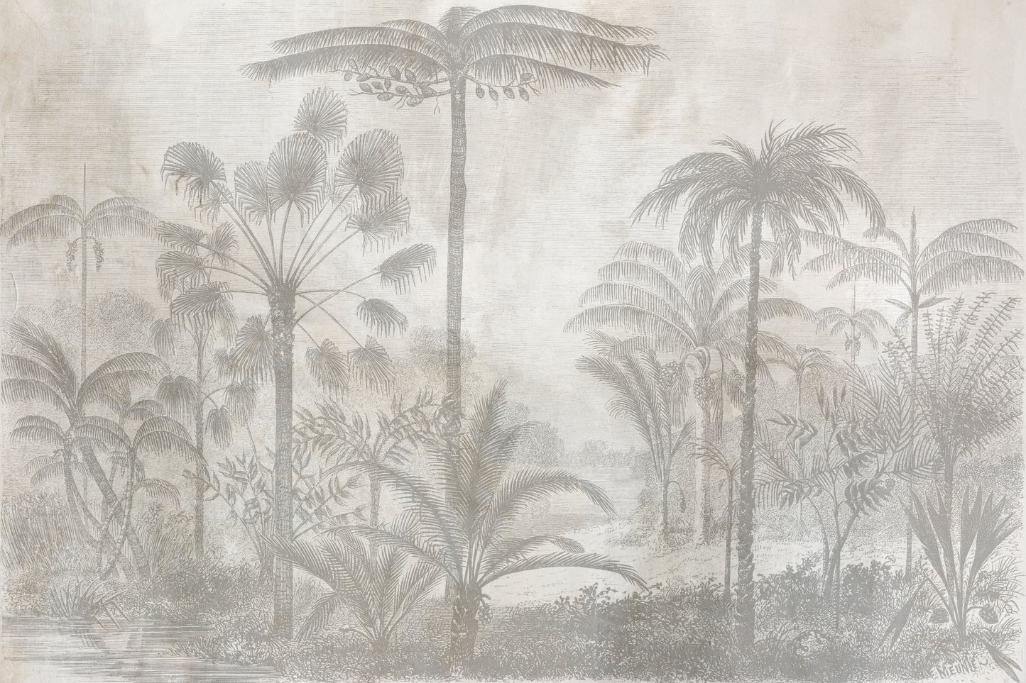 El Congo en textura
