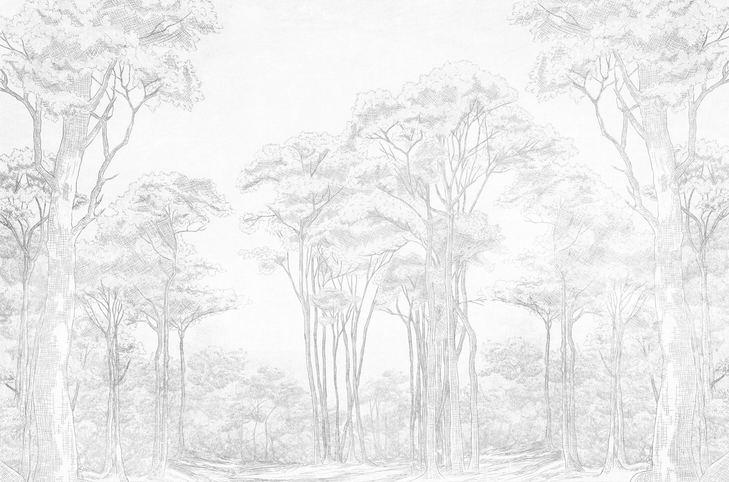 Dibujo bosque gris