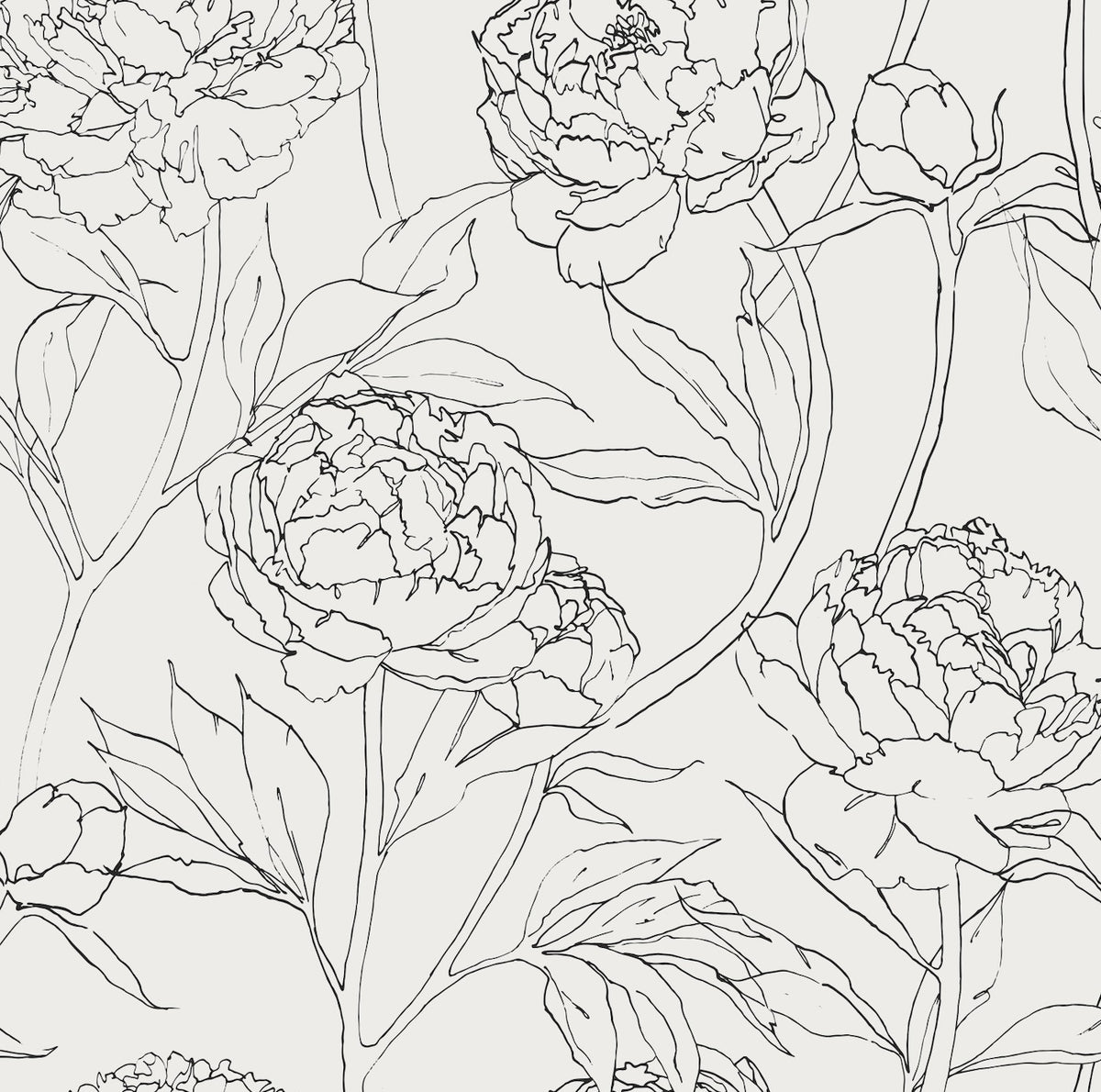 Esqueleto floral