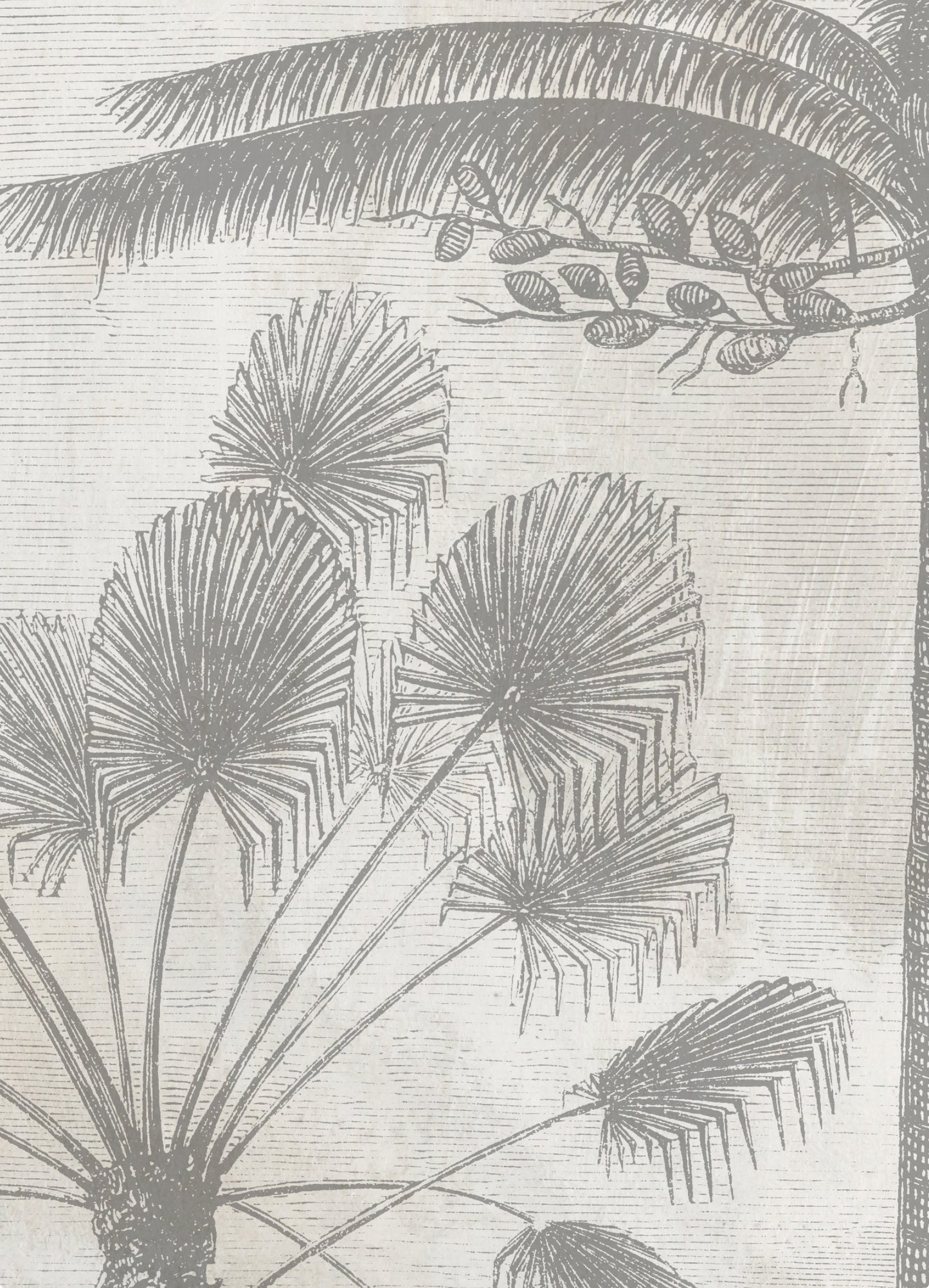 El Congo en textura