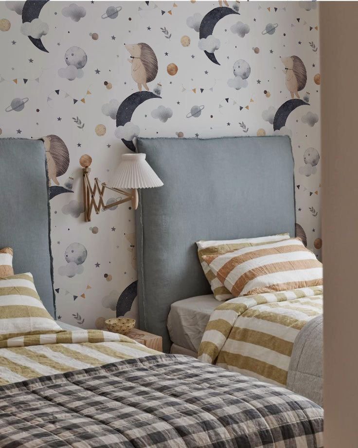 Puercoespin en las nubes