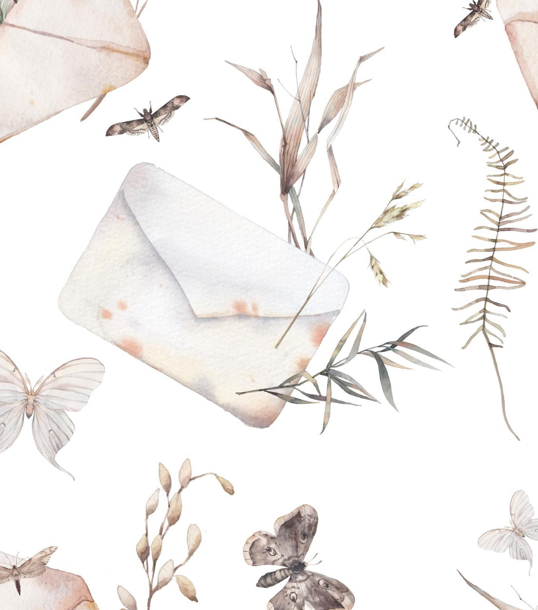 Cartas y mariposas