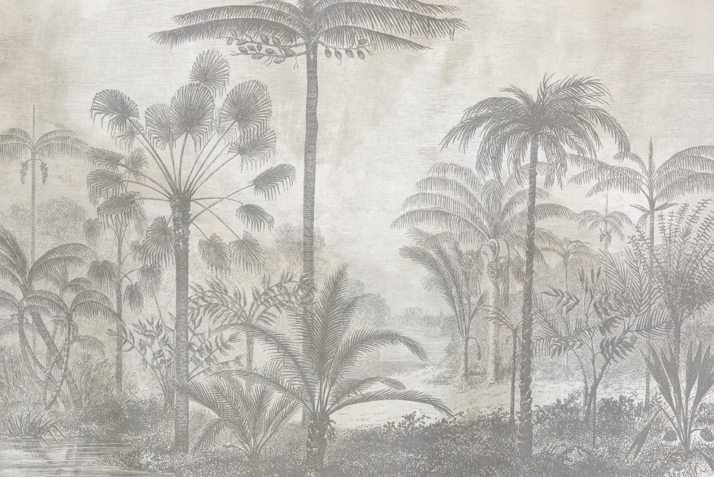 El Congo en textura