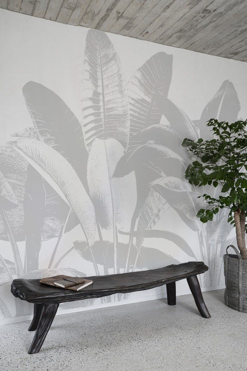 Hojas bananeras grises