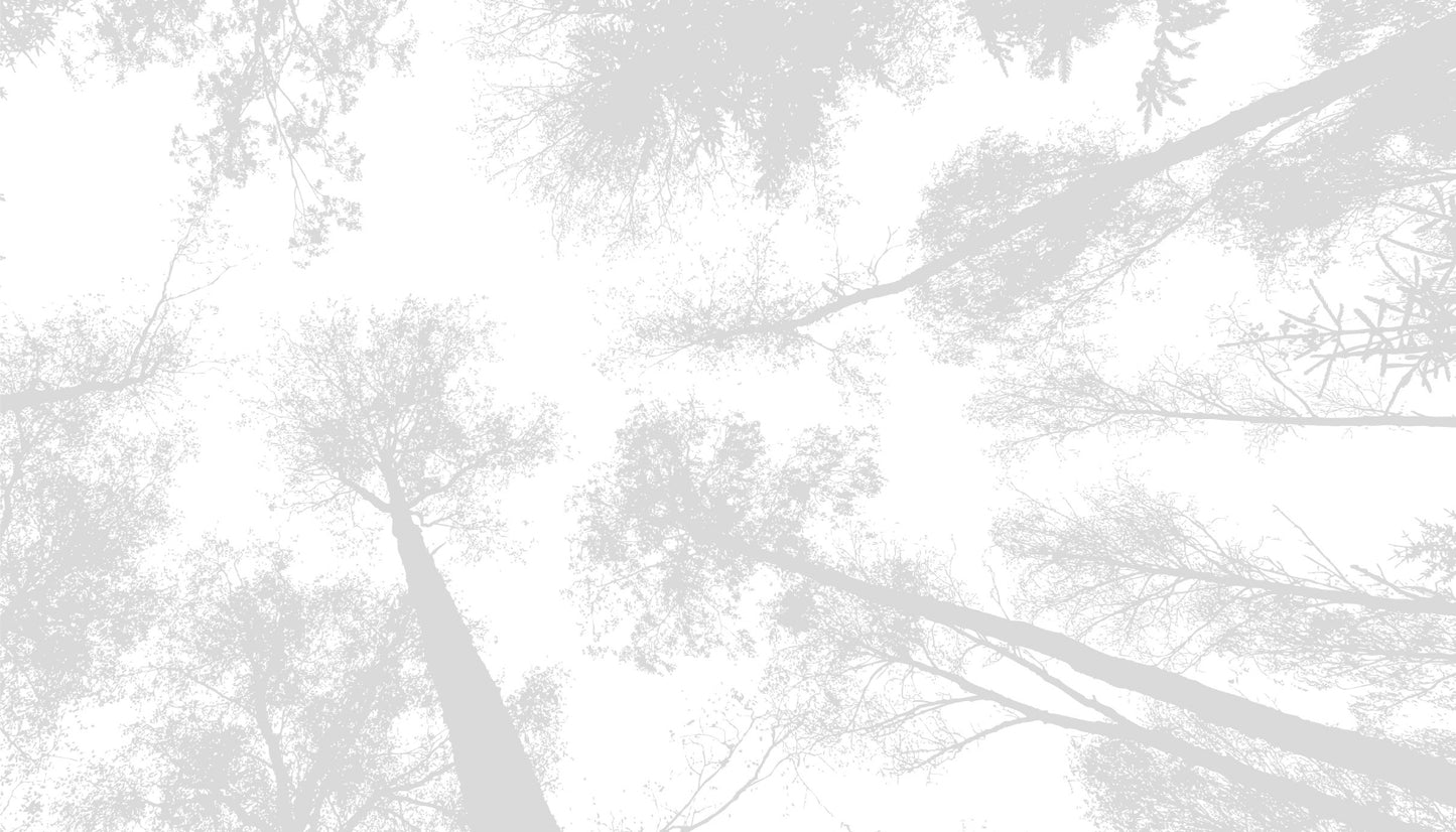 Profundidad copas árboles