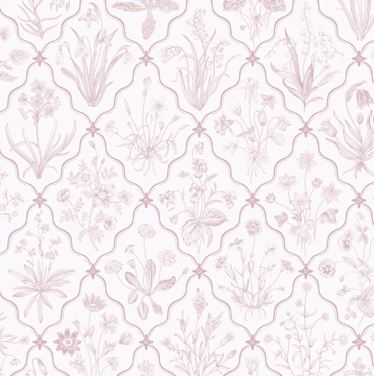 Patrón floral enmarcado rosa