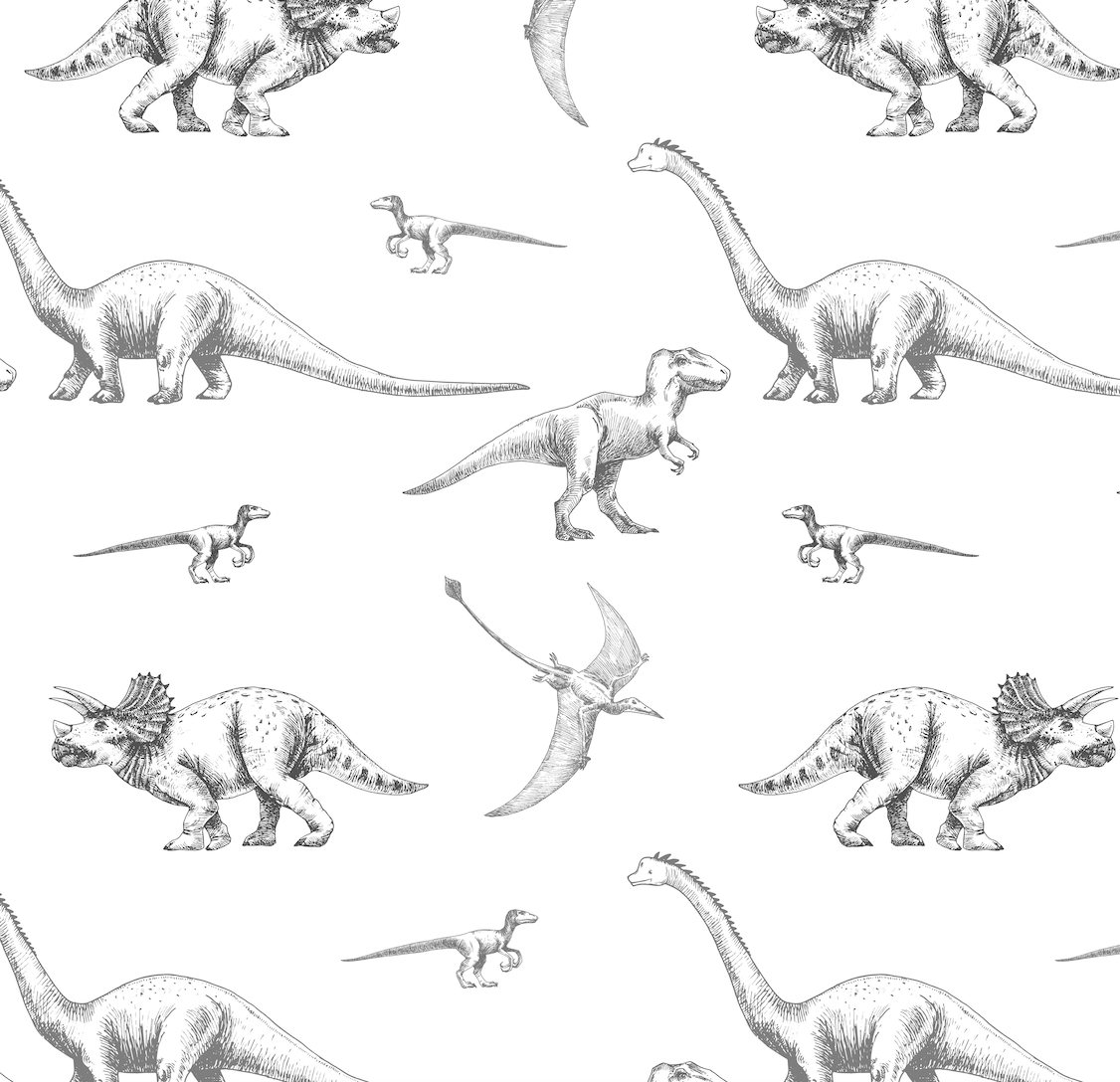 Dibujo dinosaurios