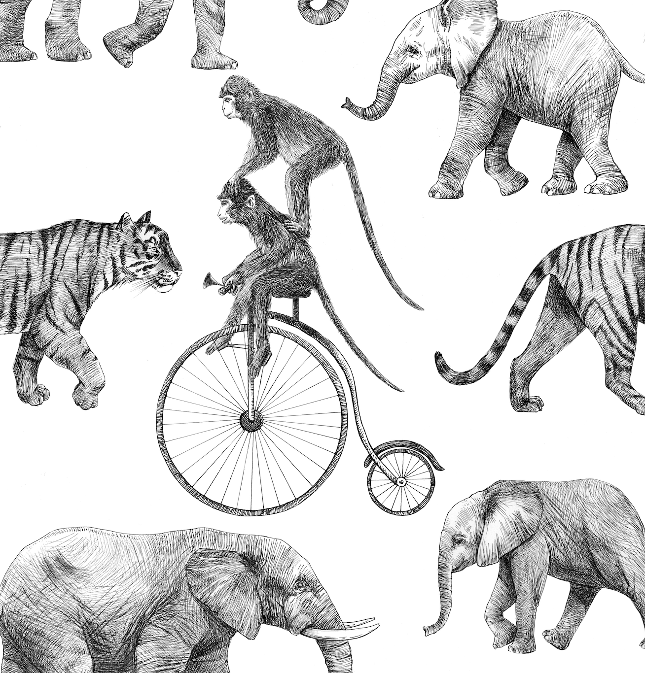Animales B/N