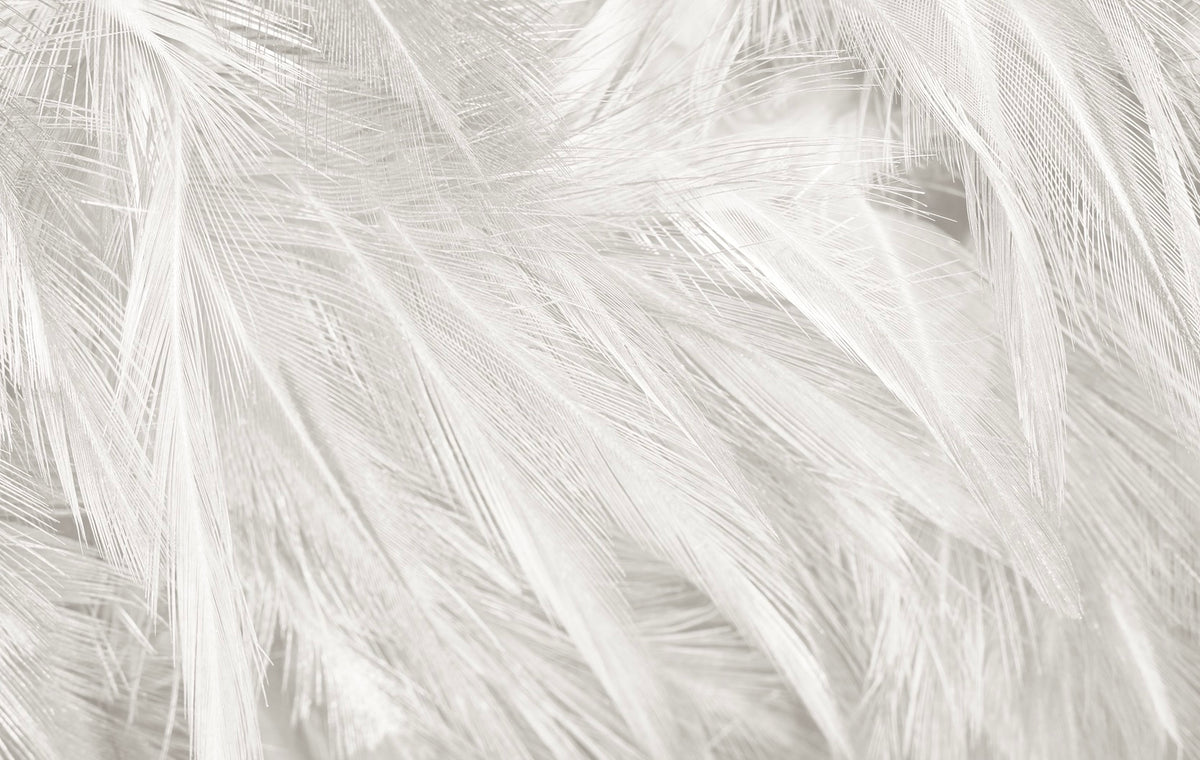 Plumas profundo